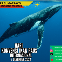 Sumatraco Ajak Generasi Muda Peduli Laut, Rayakan Hari Konvensi Ikan Paus