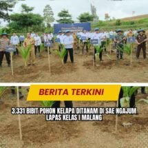 3.331 Bibit Pohon Kelapa Ditanam Di SAE Ngajum Lapas Kelas I Malang