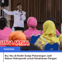 Ibu-Ibu di Kediri Sulap Pekarangan Jadi Kebun Hidroponik untuk Ketahanan Pangan