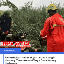 Pohon Roboh Imbas Hujan Lebat & Angin Kencang Tutup Akses Warga Desa Karang Kedawang