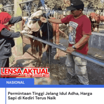 Permintaan Tinggi Jelang Idul Adha, Harga Sapi di Kediri Terus Naik
