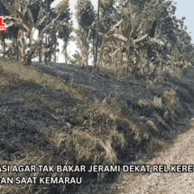 Petani Diedukasi Agar Tak Bakar Jerami Dekat Rel Kereta, Tingginya Risiko Kebakaran saat Kemarau
